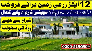 Land For Sale  12 Acre Agriculture Land For Sale  Zarai Zameen [upl. by Forrest894]