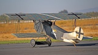 Fokker DVII WWI Biplane  US Scale Masters Championships 2016 [upl. by Eilla]