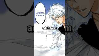 Toshiros NEW BANKAI Teaches Us A Lot About His Character anime manga bleach bankai [upl. by Eilrahc]