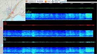 Earthquakes at SvartsengiGrindavík Iceland Live data from Melhóll seismic station at Hagafell [upl. by Aivin]