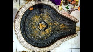 Trimbakeshwar Live Darshan livestream trimbakeshwar [upl. by Eidur56]