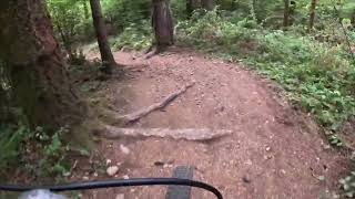 Ride along on quotBraking Badquot blue trail at Swan Creek Park  Tacoma Washington [upl. by Nort]