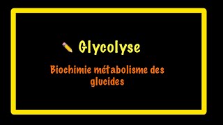 Glycolyse biochimie [upl. by Eidnyl271]