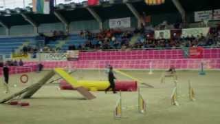 Campeonato de España 2014 de agility [upl. by Meeka]