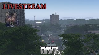 Immersed in Namalsk 2150🌴  DayZ Jungle Survival [upl. by Brahear24]