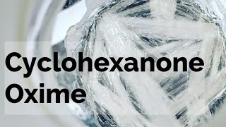 Cyclohexanone Oxime Organic Synthesis [upl. by Notelrac680]