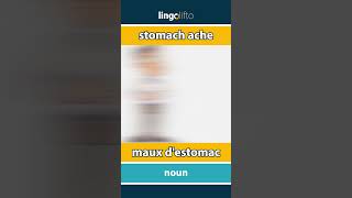 🇬🇧🇫🇷 stomach ache  maux destomac  learn English  apprenons langlais [upl. by Casar]