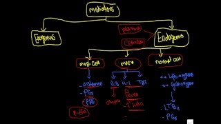 inflammation 8  mediators amp systemic effect [upl. by Hurty]