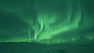 Northern lights  Aurora in Iceland [upl. by Delbert]