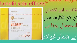 velosef capsules benefits in urdu  velosef capsules 500mg dosage velosef capsule 500mg uses [upl. by Anstice]