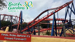 Saying My Goodbyes to Scorpion at Busch Gardens  My FINAL Rides Phoenix Rising and No Crowds [upl. by Allehc]