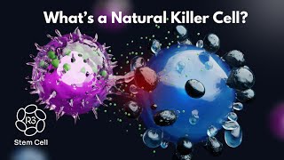 What are Natural Killer Cells 1844 4NKCELL [upl. by Yotal]