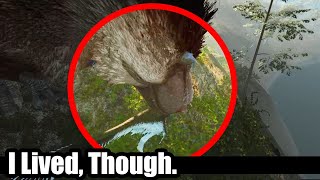 The Worlds Unluckiest Dakotaraptor Saurian Gameplay No Talking Realism Dinosaur Game Survival [upl. by Inalem]