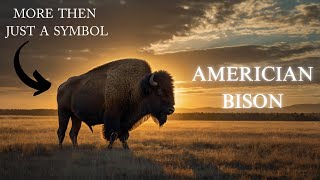 The Untold Story of the American Bison More Than Just a Symbol [upl. by Erdreid613]