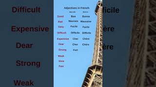 Essential French Adjectives Mastering Everyday Descriptions frenchforbeginnerslearnfrench [upl. by Eesyak]