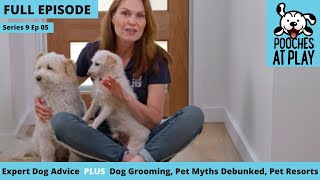 Dog amp cat myths debunked dog grooming pet resorts  Full Episode S9 Ep 5  Pooches at Play [upl. by Egidius535]