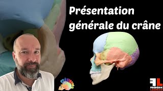 Présentation générale du crâne [upl. by Llehsal]