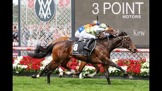 Caulfield  Morphettville Racing Tips  Sir Rupert Clarke Stakes amp Thousand Guineas Day 181123 [upl. by Jessie212]