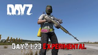 Everything New In DayZ Update 123 Experimental [upl. by Ethan]