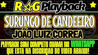 PlayBack  Surungo De CandeeiroJoão Luiz Correa [upl. by Fonzie712]