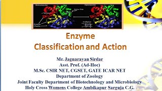 enzymes types of enzymes  how enzymes work  digestive enzymes  enzymes biology Part 1 [upl. by Nagear]