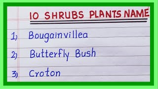 Shrub Plants Name in English  10 Name of Shrub Plants  List of Shrubs [upl. by Enelkcaj319]