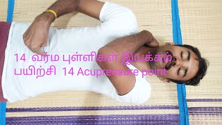 14 முக்கியமான வர்ம புள்ளிகள் அதை எவ்வாறு இயக்குவது என்பதை பார்ப்போம் 14 acupressure points active [upl. by Karlens]