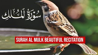 Surah Mulk  Soothing Quran for Relaxing Quran recitation for sleeping HeartSooting Quran tilawat [upl. by Marba]