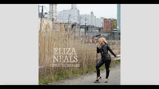 quotColorcrimesquot Eliza Neals OFFICIAL Album Art Music Video [upl. by Philipps]