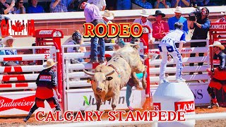 Calgary Stampede Rodeo 2024  4K HDR 60 fps [upl. by Varini]