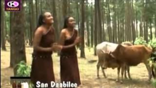 Arsi Oromo music [upl. by Nahtanaj]