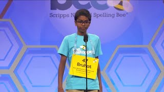 12yearold Tampa boy becomes finalist at Scripps National Spelling Bee [upl. by Ydahs]