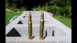 3006 vs 300 win mag  Cinder Block Test [upl. by Pallaton]