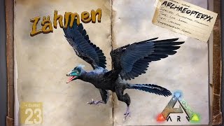 ARK‬ Survival Evolved GUIDEDeutsch  Archaeopteryx zähmen [upl. by Maggee]