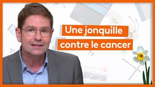 Santé  Une jonquille contre le cancer [upl. by Artep433]