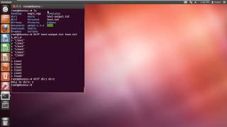 How to Use Diff Unix Command [upl. by Pleione223]