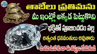 తాబేలు మీ ఇంట్లో అక్కడ పెడితే వద్దన్న డబ్బు వస్తుంది  Tortoise Benefits Telugu  Dharma Sandehalu [upl. by Aidnama913]