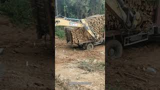 Process Of Transporting Timber In Mountainous Areas [upl. by Meeharb807]