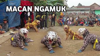 Macan Ngamuk Bantengan Putra Waringin Jati Luhur Live Wonosalam [upl. by Tu234]