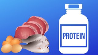 NUTRIÇÃO BÁSICA  DIGESTÃO E ABSORÇÃO DE PROTEÍNAS [upl. by Diella]