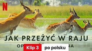 Jak przeżyć w raju Opowieść rodzinna Klip 3  Zwiastun po polsku  Netflix [upl. by Steffie]