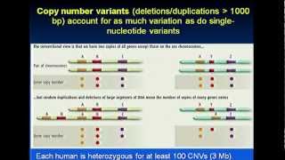 Introduction to Population Genetics  Lynn Jorde 2012 [upl. by Yssirhc]