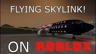 Skylink  Boeing 737 Flight  Business Class  ROBLOX [upl. by Nitz599]