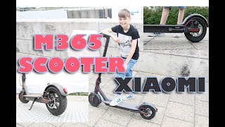 Xiaomi M365 Scooter Review  Electric Scooter [upl. by Esli102]