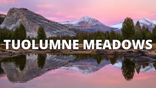 Tuolumne Meadows Hike [upl. by Stearne]