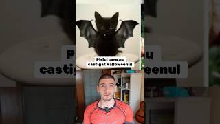 PISICI CARE AU CASTIGAT HALLOWEENUL  Vlad Vaida youtubecreatorcommunity [upl. by Ardith]