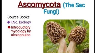 Ascomycota the sac fungi introductory mycology fungi [upl. by Melliw]