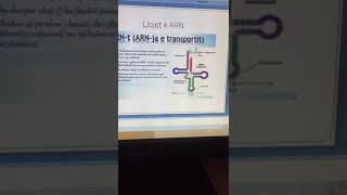 BIOLOGJI 12  PERSERITJE MSH  KRAHASIMI ADN me ARN  MIRANDA MEMA [upl. by Dazraf]