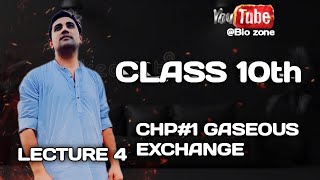 Class10 lecture4 Gaseous exchange in Humans [upl. by Anaujit]