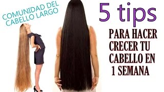 5 tips para hacer crecer tu cabello en 1 semana [upl. by Leiuqeze171]